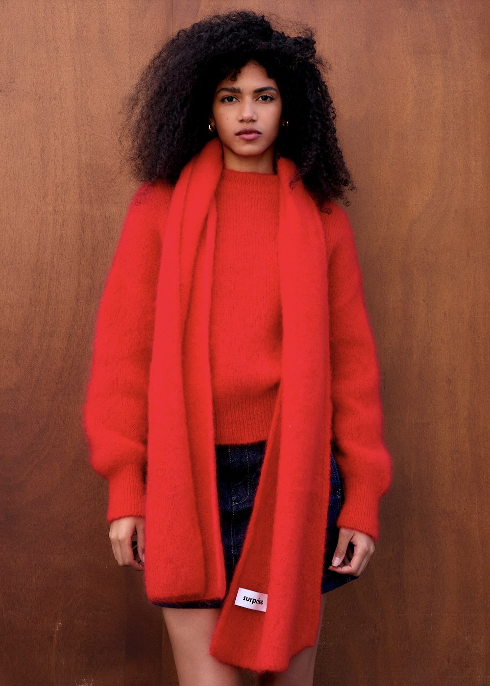 Donna Mohair Scarf – Surprise-paris