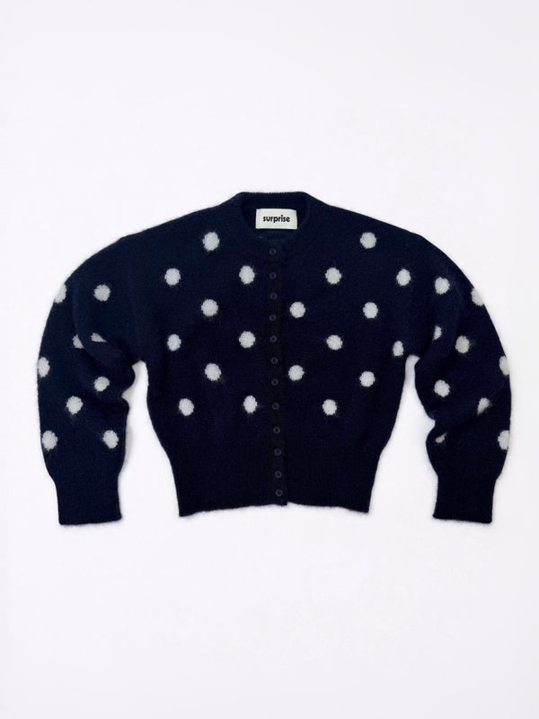 Pois Navy