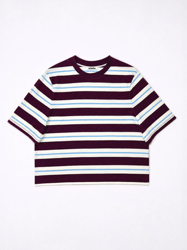 Rayures Aubergine/Bleu ciel