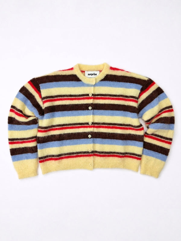 Rayures Multicolores