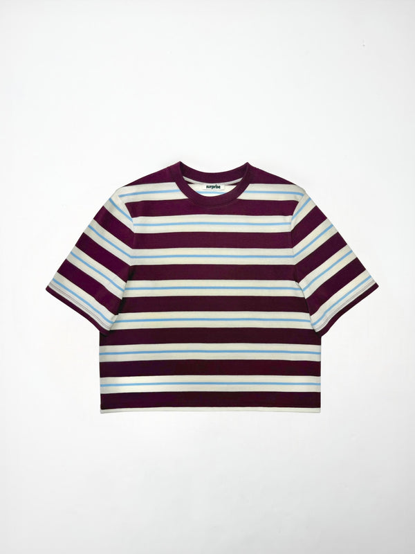 Rayures Aubergine/Bleu ciel