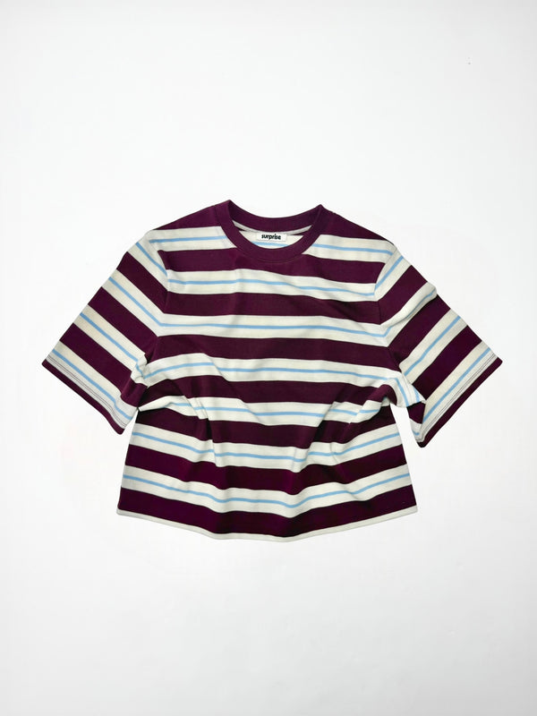 Rayures Aubergine/Bleu ciel