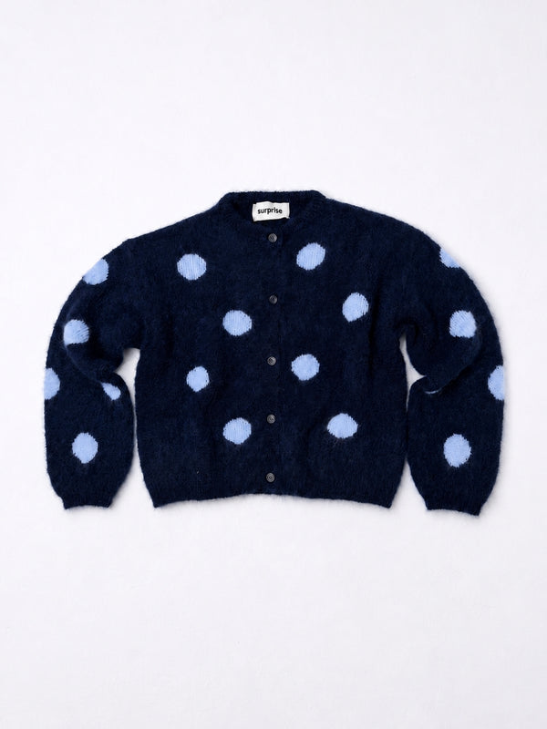 Pois Navy